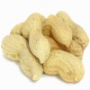 SALTED IN SHELL PEANUTS